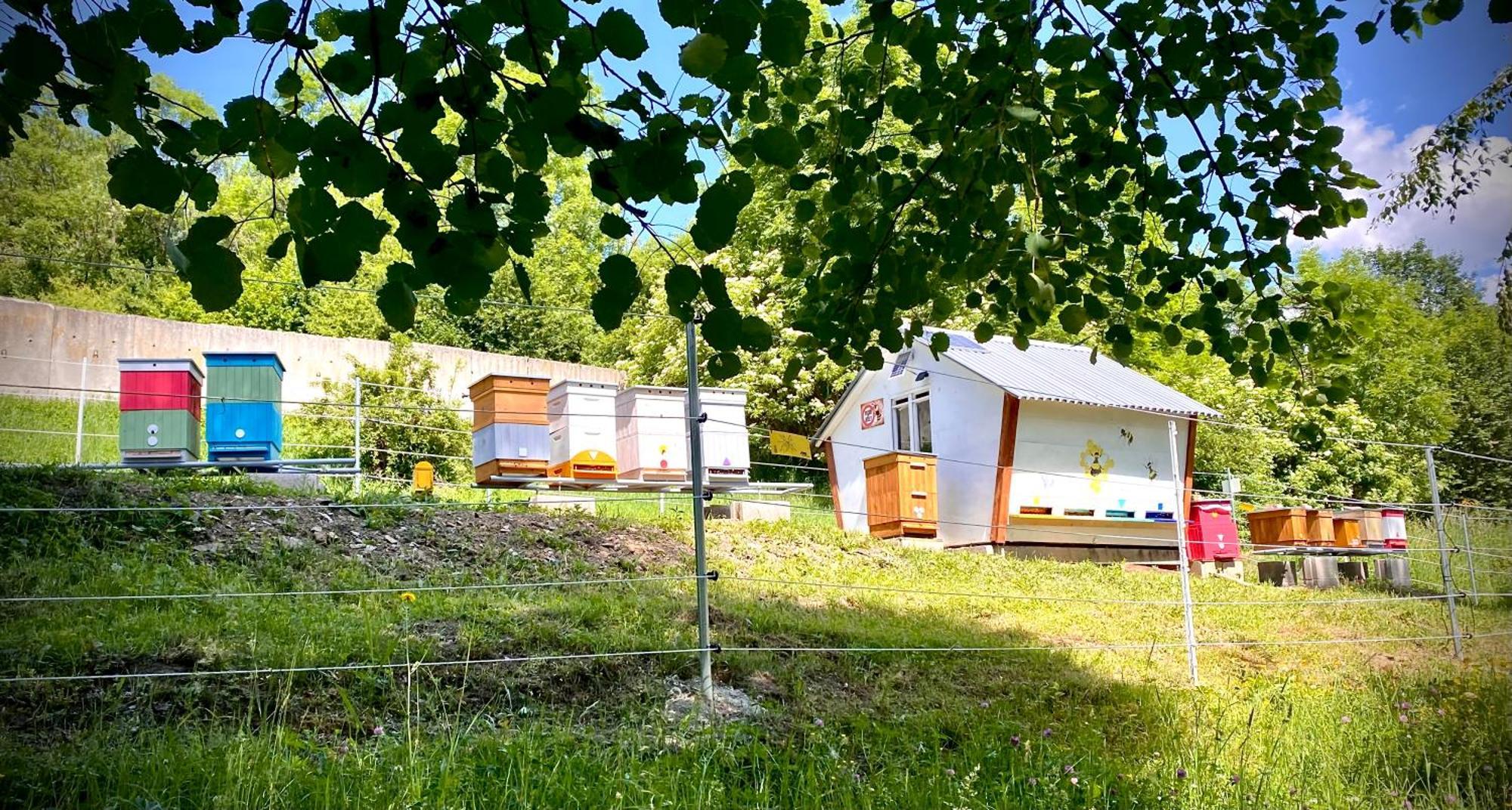 Apartmany Svrcinky Liptovský Mikuláš Esterno foto
